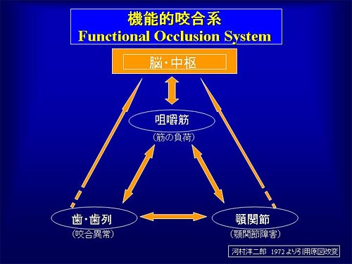 咬合学序説 機能的咬合面形態を求めて/医歯薬出版株式会社
